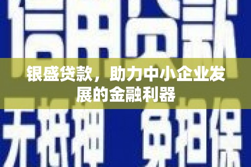 苑里银盛贷款，助力中小企业发展的金融利器