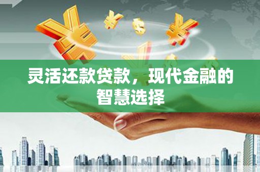 苑里灵活还款贷款，现代金融的智慧选择