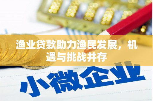 苑里渔业贷款助力渔民发展，机遇与挑战并存