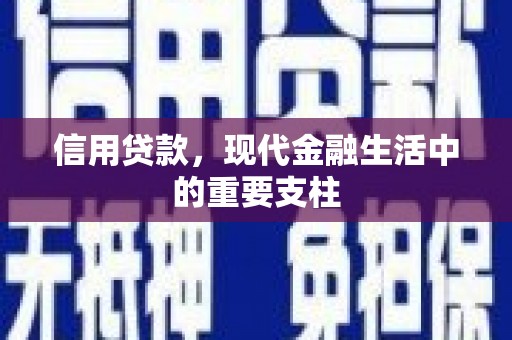 苑里信用贷款，现代金融生活中的重要支柱