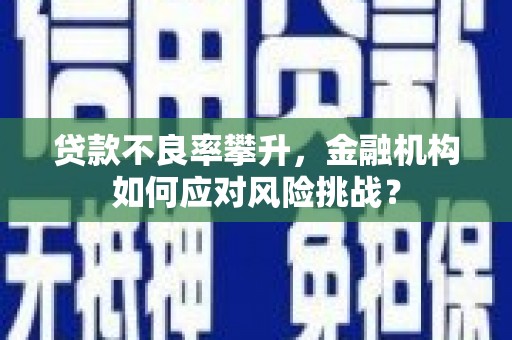苑里贷款不良率攀升，金融机构如何应对风险挑战？