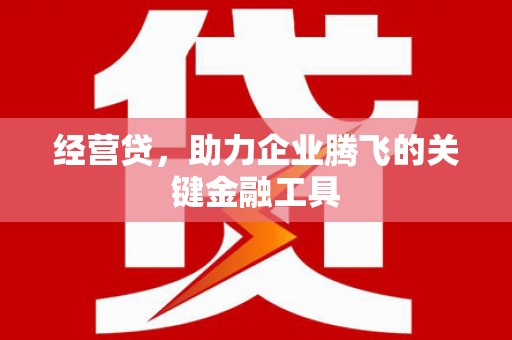 苑里经营贷，助力企业腾飞的关键金融工具