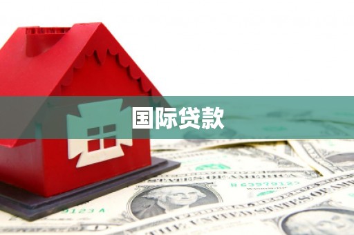 苑里国际贷款