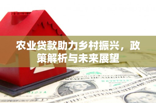 苑里农业贷款助力乡村振兴，政策解析与未来展望