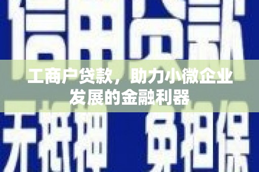 苑里工商户贷款，助力小微企业发展的金融利器
