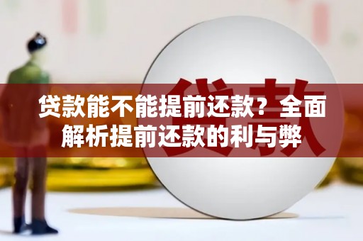 苑里贷款能不能提前还款？全面解析提前还款的利与弊