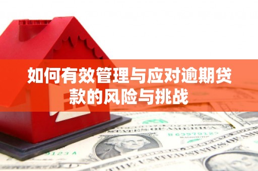 苑里如何有效管理与应对逾期贷款的风险与挑战