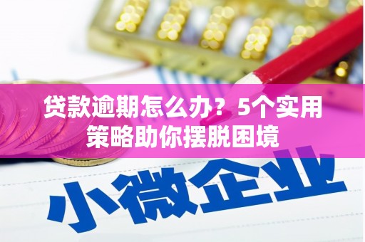 苑里贷款逾期怎么办？5个实用策略助你摆脱困境