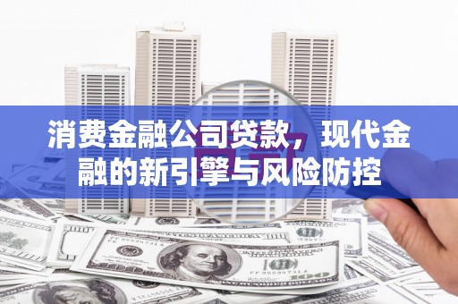 苑里消费金融公司贷款，现代金融的新引擎与风险防控