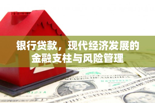 苑里银行贷款，现代经济发展的金融支柱与风险管理