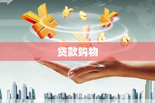 苑里贷款购物