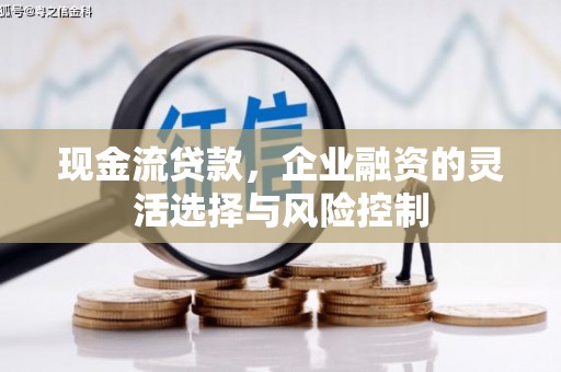 苑里现金流贷款，企业融资的灵活选择与风险控制