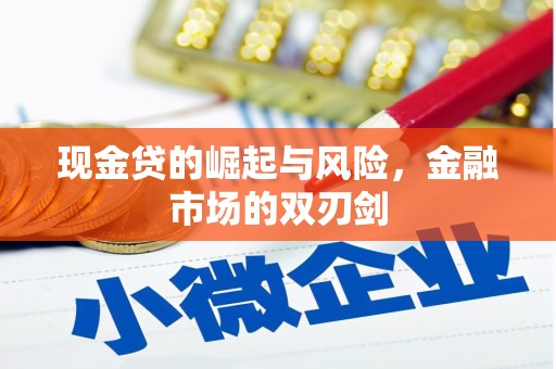 苑里现金贷的崛起与风险，金融市场的双刃剑