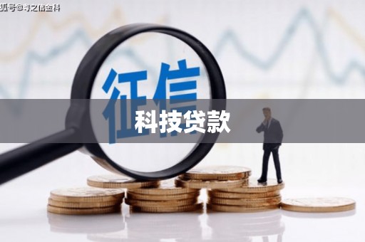 苑里科技贷款