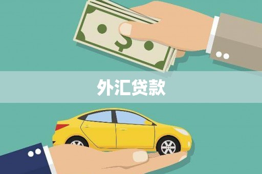 苑里外汇贷款