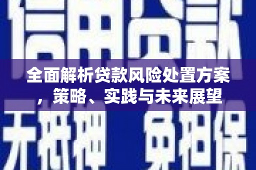 苑里全面解析贷款风险处置方案，策略、实践与未来展望