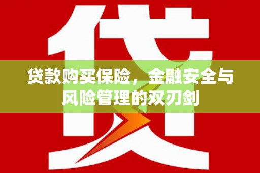 苑里贷款购买保险，金融安全与风险管理的双刃剑