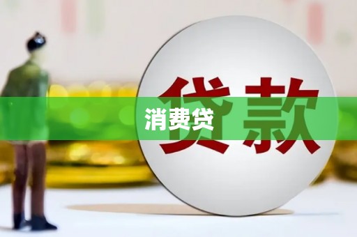 苑里消费贷