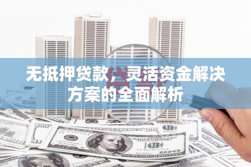 苑里无抵押贷款，灵活资金解决方案的全面解析