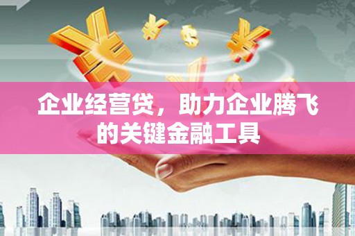 苑里企业经营贷，助力企业腾飞的关键金融工具
