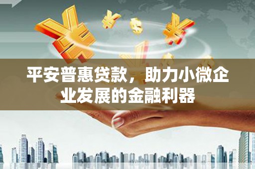 苑里平安普惠贷款，助力小微企业发展的金融利器