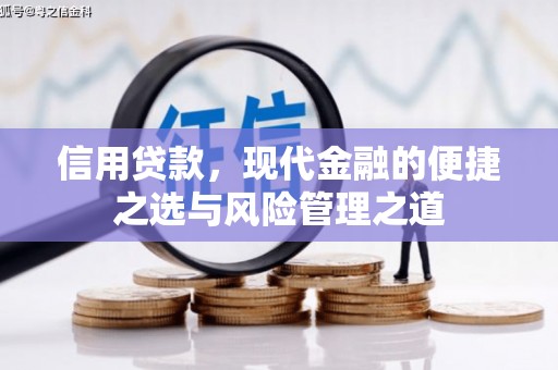 苑里信用贷款，现代金融的便捷之选与风险管理之道
