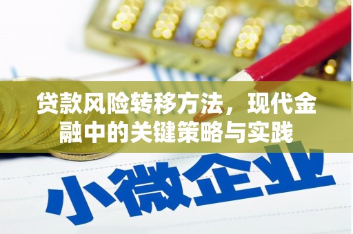 苑里贷款风险转移方法，现代金融中的关键策略与实践