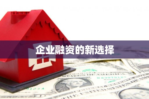 苑里企业融资的新选择