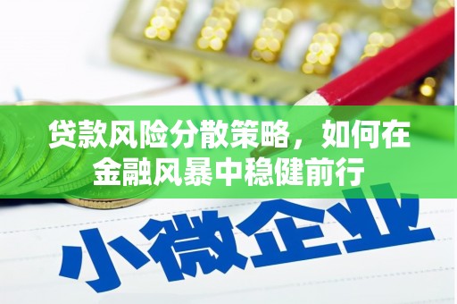 苑里贷款风险分散策略，如何在金融风暴中稳健前行