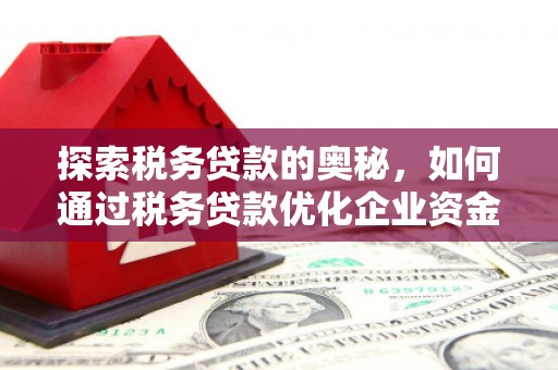 苑里探索税务贷款的奥秘，如何通过税务贷款优化企业资金流