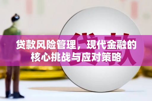 苑里贷款风险管理，现代金融的核心挑战与应对策略