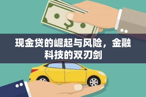 苑里现金贷的崛起与风险，金融科技的双刃剑