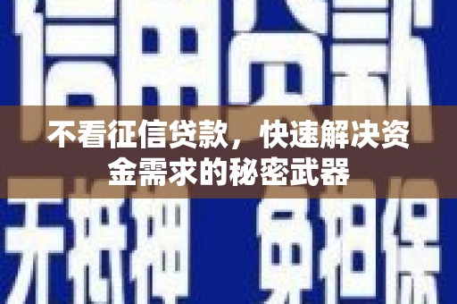 苑里不看征信贷款，快速解决资金需求的秘密武器