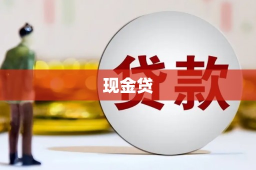 苑里现金贷