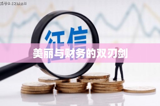 苑里美丽与财务的双刃剑