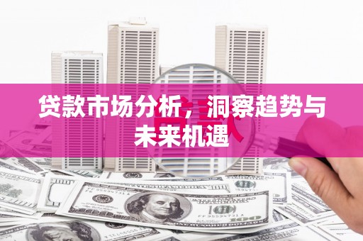 苑里贷款市场分析，洞察趋势与未来机遇