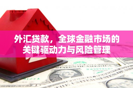 苑里外汇贷款，全球金融市场的关键驱动力与风险管理