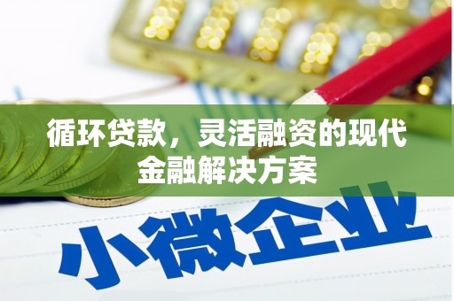 苑里循环贷款，灵活融资的现代金融解决方案