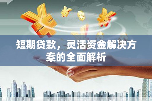 苑里短期贷款，灵活资金解决方案的全面解析