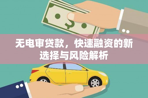 苑里无电审贷款，快速融资的新选择与风险解析