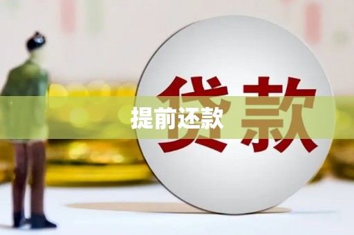 苑里提前还款