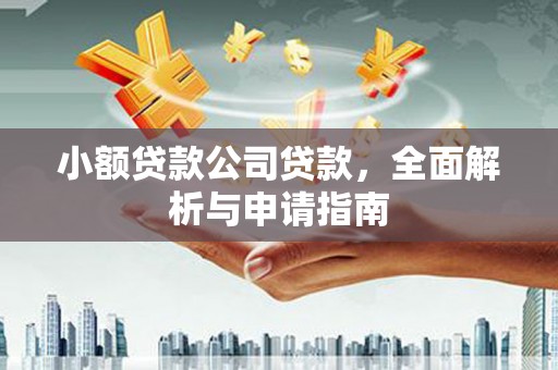 苑里小额贷款公司贷款，全面解析与申请指南