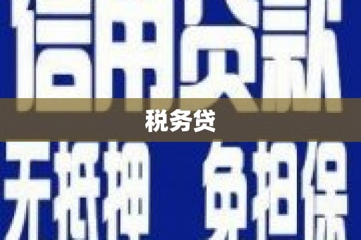 苑里税务贷