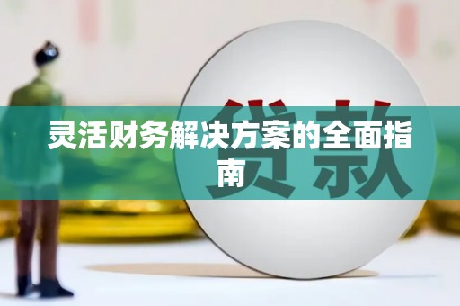 苑里灵活财务解决方案的全面指南