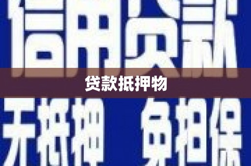 苑里贷款抵押物
