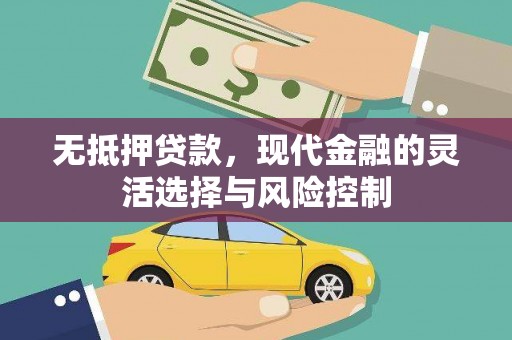 苑里无抵押贷款，现代金融的灵活选择与风险控制