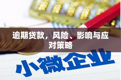 苑里逾期贷款，风险、影响与应对策略