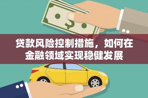 苑里贷款风险控制措施，如何在金融领域实现稳健发展