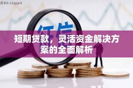 苑里短期贷款，灵活资金解决方案的全面解析