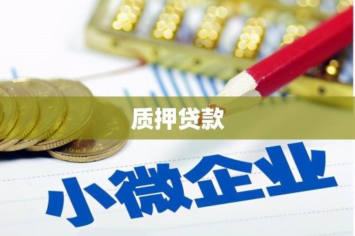 苑里质押贷款